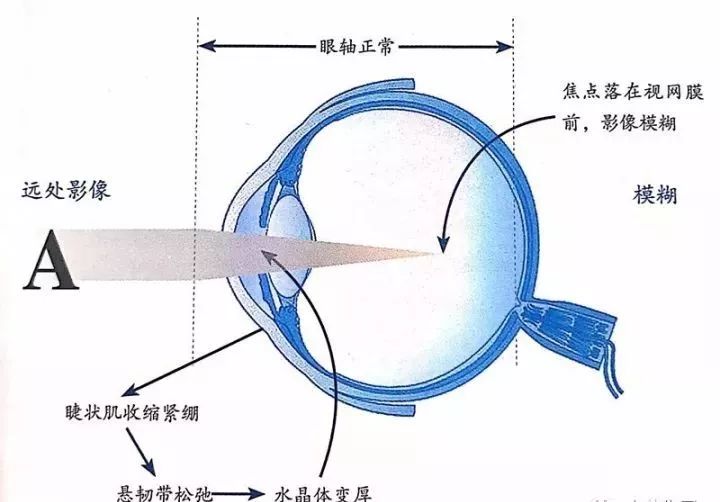 微信图片_20220412174301.jpg